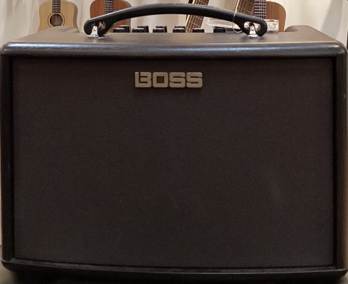 Store Special Product - BOSS - AC-22LX